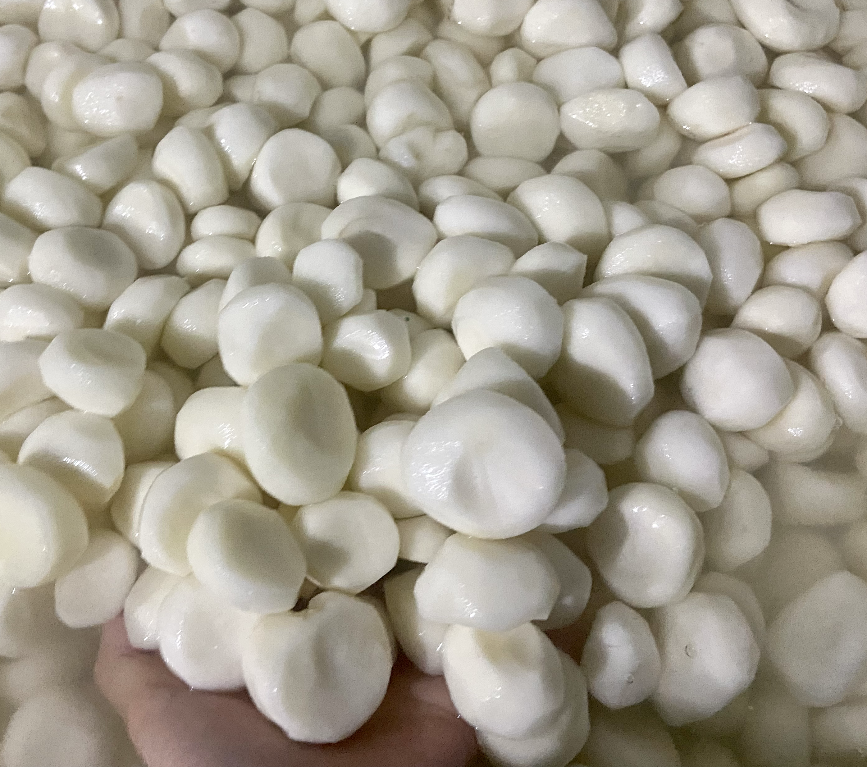 毛马蹄家常烹饪方式展示