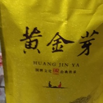 金黄芽绿茶