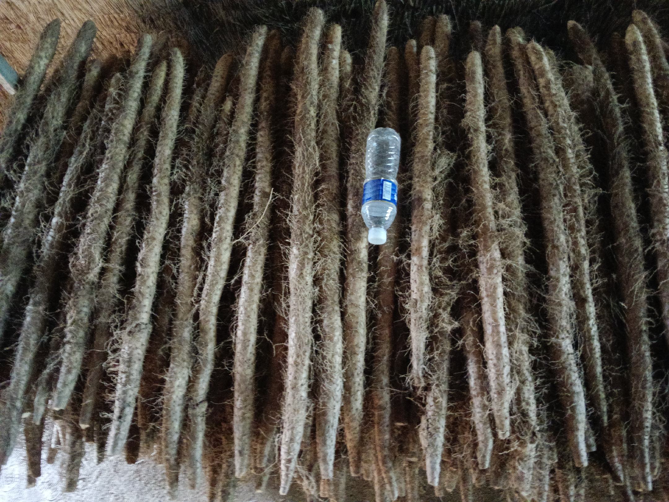 一个木质展台上摆放着不同种类的山药,包括细长的铁棍山药、粗壮的菜用山药和扁圆形的南方山药,旁边配有放大镜下的断面特写照片,显示其内部组织结构差异,背景为农家小院风格,体现原生态农产品主题 山药产品展示台