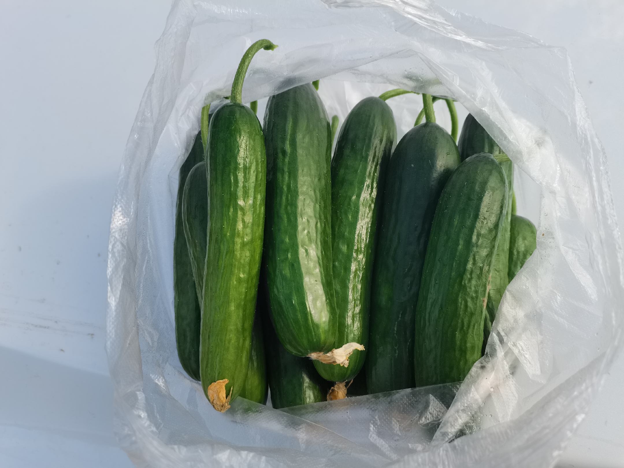 新鲜翠绿的小黄瓜整齐摆放在木质砧板上，表面带有细小刺粒，旁边配有大蒜、生姜和小米辣等辅料