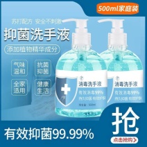 抑菌消毒洗手液家用清香型泡沫学生儿童成人通用清洁便携家用