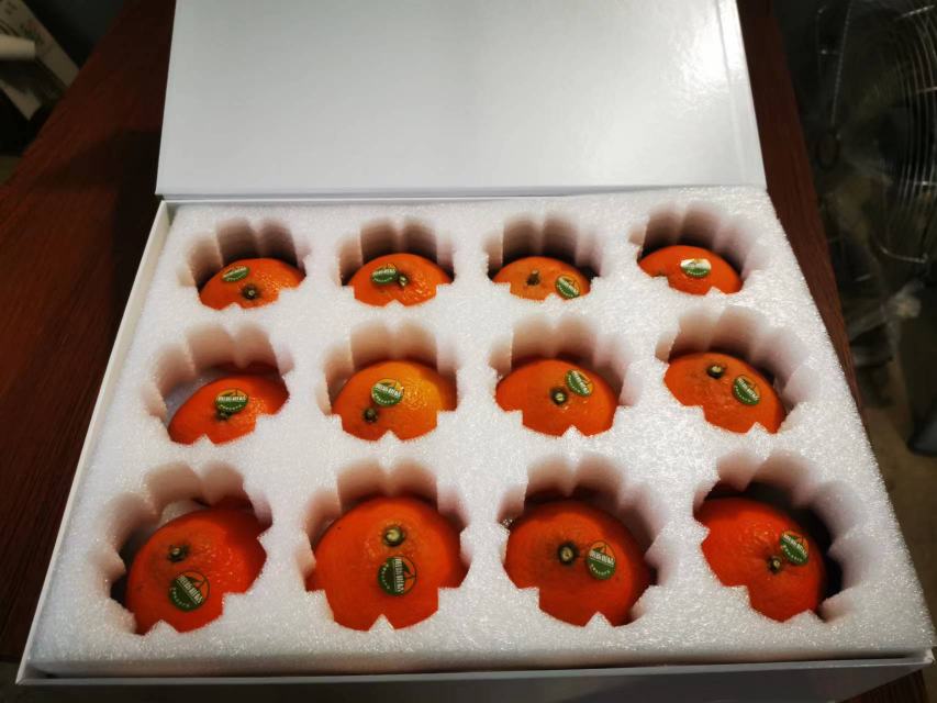 一组精致的爱媛橙礼盒陈列在桌面上,礼盒设计简约大气,印有‘四川爱媛·果冻橙’字样,打开的礼盒中整齐排列着6个金黄色的爱媛橙,旁边配有品牌卡片和丝带装饰,适用于节日送礼场景 爱媛橙礼盒包装展示图