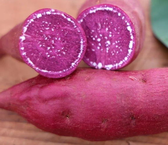 新鲜紫薯与变质紫薯对比图