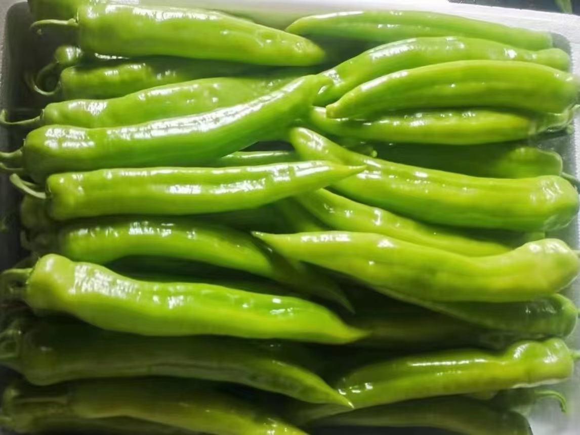 尖椒特写