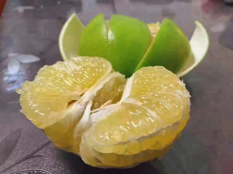 葡萄柚绿果实特写