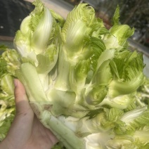 水果蔬菜