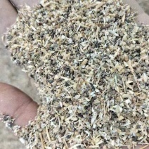 草籽麦