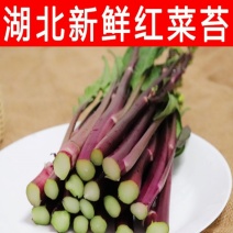 湖北新鲜红菜苔已经上市。欢迎新老客户前来选购