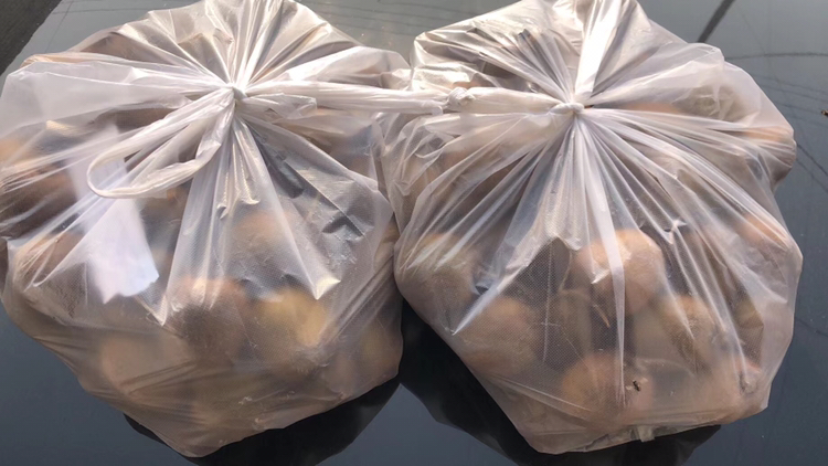 透明塑料袋内装有两三个猕猴桃和一个成熟苹果,袋子半扎口,背景为厨房台面,展示家庭常用的水果催熟场景 猕猴桃与苹果同袋催熟示意图