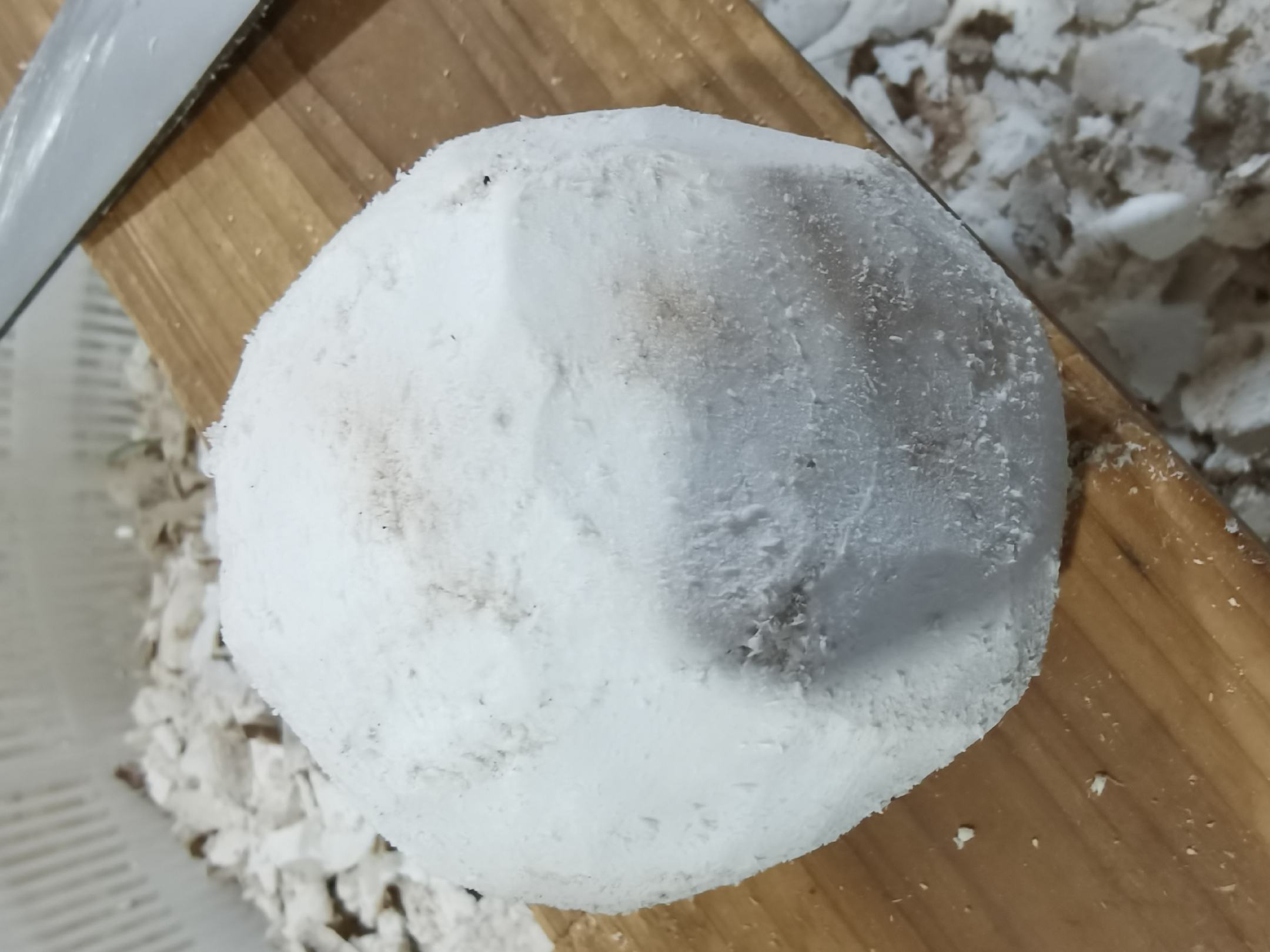 左图为温县怀山药新鲜块茎横切面,可见密集白色黏液质细胞群(箭头所指),富含山药多糖;右图为安徽霍山产茯苓菌核干燥切片,呈淡白色致密纹理,无明显孔洞,表明三萜类成分富集,杂质少 淮山药与茯苓药材横切面高清显微图