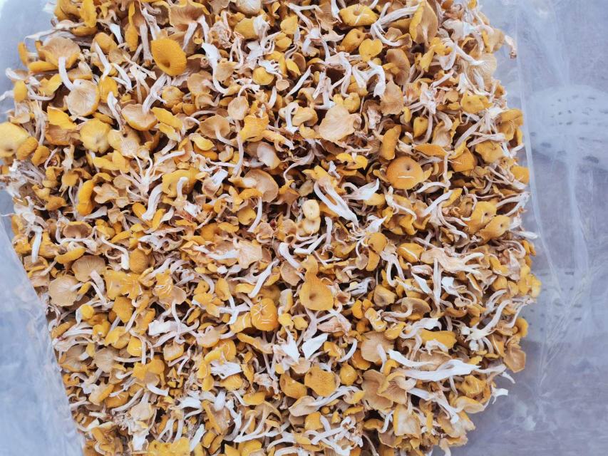炸杏鲍菇成品图
