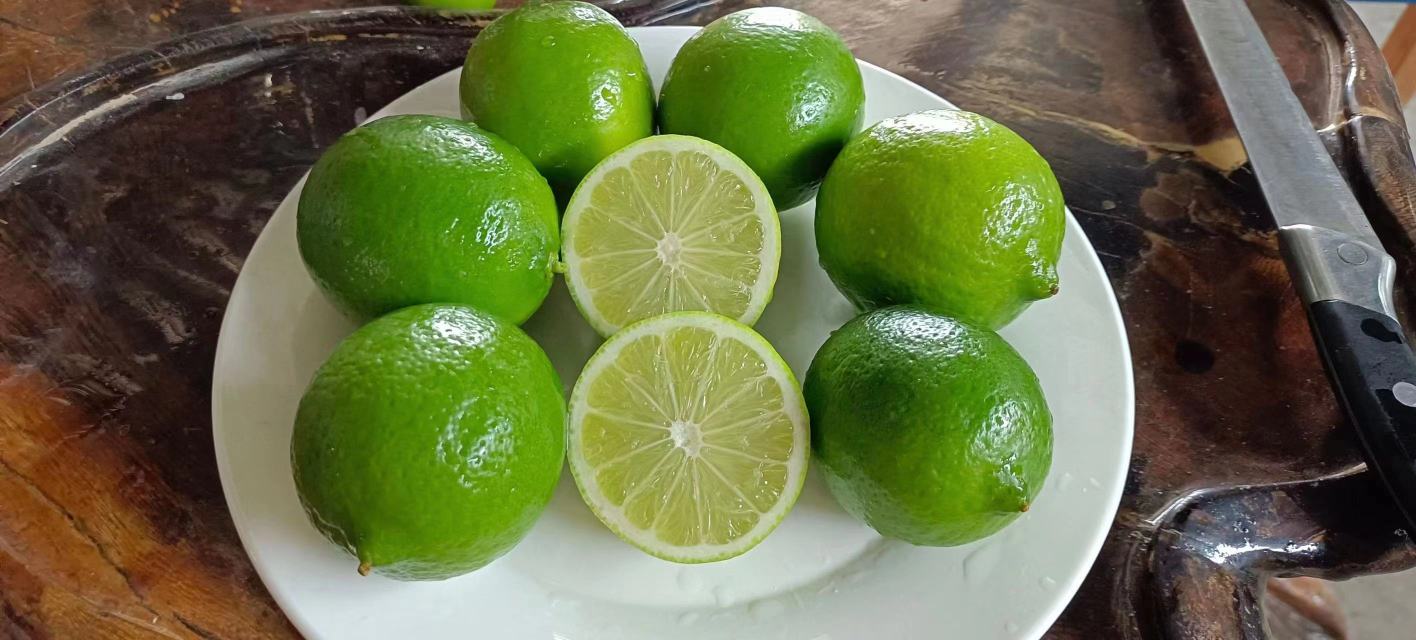 金桔小青柠用于饮品制作图