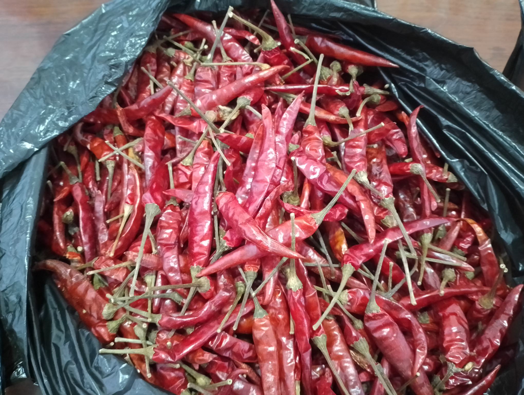 高清俯拍图:透明计量盘中盛放一斤(500g)新鲜红艳小米椒,椒体均匀簇生、表皮油亮有光泽,部分带梗,背景为木质砧板与不锈钢电子秤(屏幕显示500.2g),旁置一枚标准1元硬币作尺寸参照 一斤散装小米椒实物称重对比图