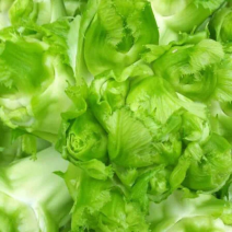 【荐】儿菜精品儿菜逐步上市大头白龙牙菜丫丫菜