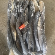 鲶鱼，黄骨鱼