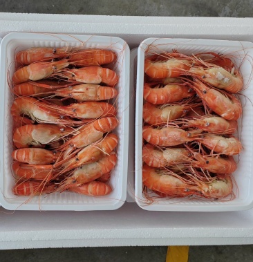 [罗氏沼虾批发]大号熟冻罗氏虾*德贤冷冻食品价格48.00元/斤 - 一亩田