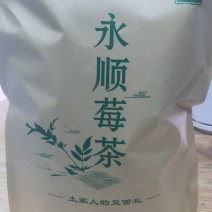湘西永顺每莓茶