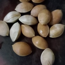 白果