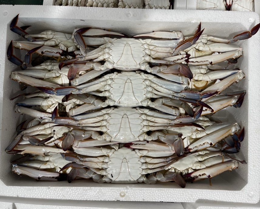 消费者在海鲜市场摊位前挑选梭子蟹