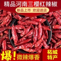 :河南新一代三樱椒天鹰小椒干辣椒微辣特香辣椒