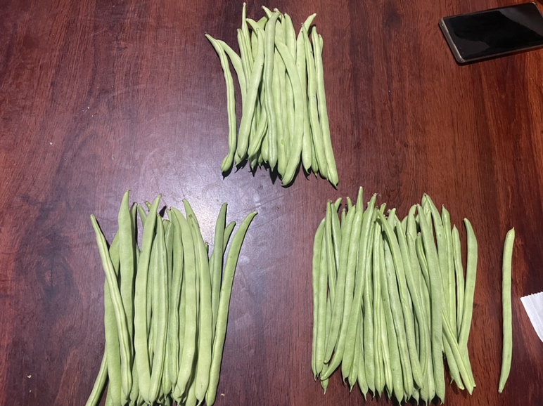 厨房中摆放着新鲜四季豆与切开的豆荚内部结构