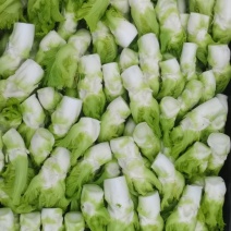 广汉白白胖胖的精品儿菜