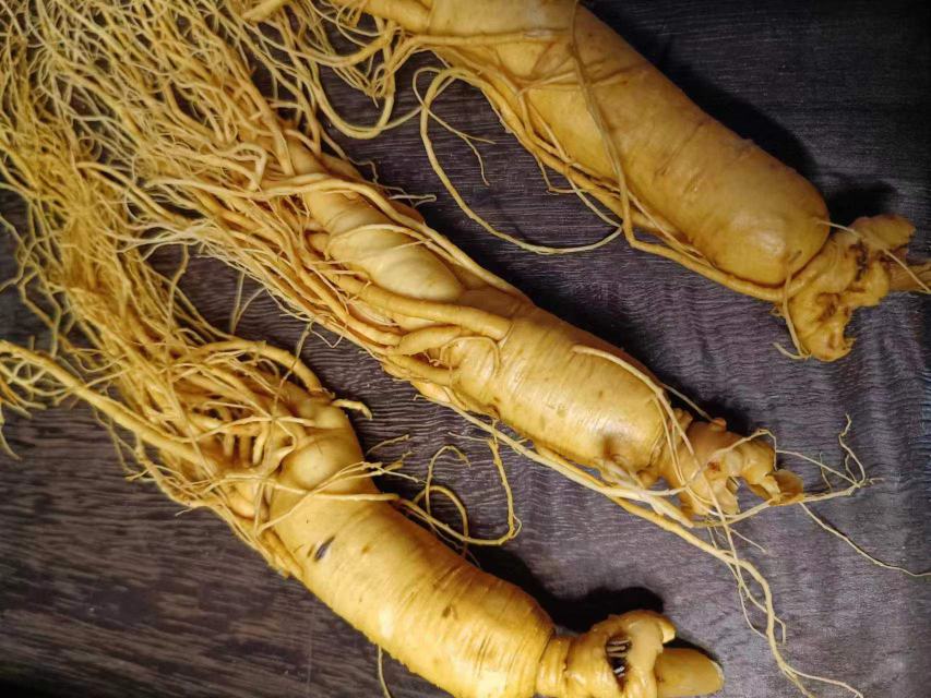 画面展示一根完整的新鲜虫草参,表面带有泥土痕迹,正被透明保鲜膜轻轻包裹,背景为白色厨房台面,旁边摆放有密封保鲜盒和冰箱冷藏格,突出‘即食型短期保存’场景 新鲜虫草参与保鲜膜包装示意图