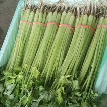 精品香芹对接市场档口，电商，商超
