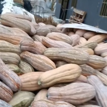 黄皮南瓜，老南瓜，软糯香甜，辅食粗粮，营养可口
