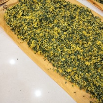 野菊花