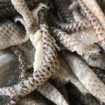 鱼皮