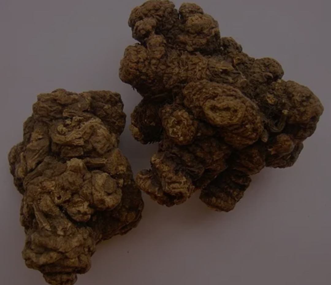 黑玛卡干燥块根实物图,表面呈深黑色,质地坚硬 黑玛卡实物图