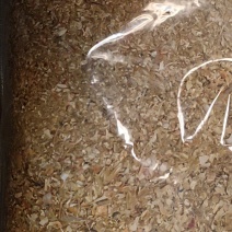 虾壳粉厂家批发，可视频看货，保质保量欢迎联系