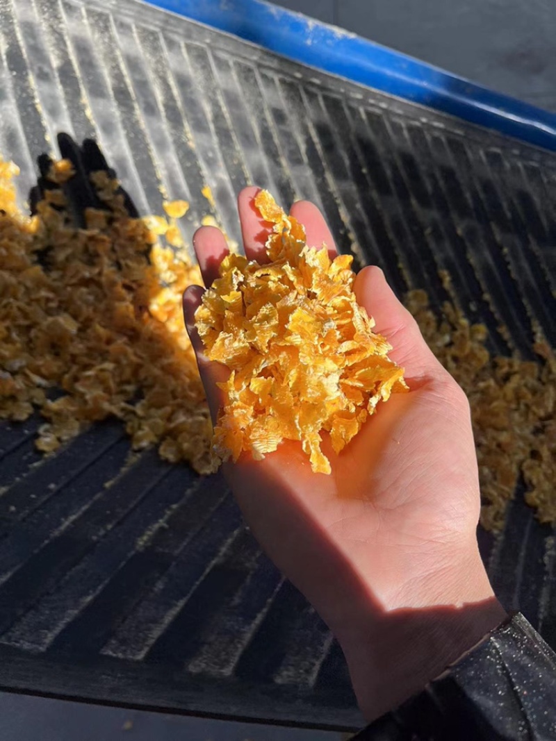 东北玉米蒸汽玉米压片厂家供应全国发货牛羊好饲料质量保