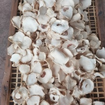 魔芋干片
