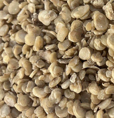 [旱半夏种子批发]半夏旱半夏质量保证实物拍摄价格40.