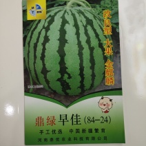 鼎绿早佳8424西瓜种子大果改良品种金麒麟西瓜种子含糖量