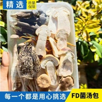 高端菌汤包，冻干技术，原色原味，冻干菌菇汤