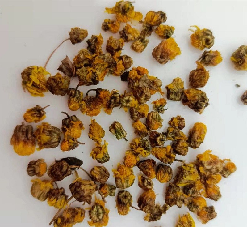 野菊花茶冲泡图