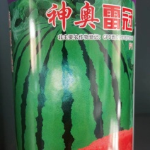 神奥雷冠甜王西瓜种子大果型口感好大红瓤抗病性强耐运