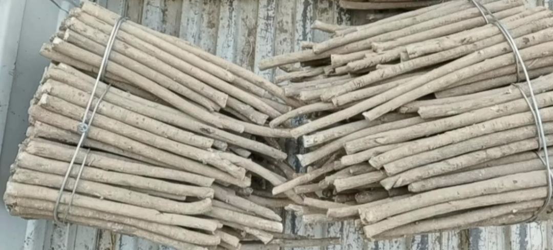 川贝粉制作过程示意图