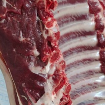 精品！驴排骨马排肉质鲜嫩大量批发现杀现杀