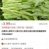 空心菜