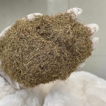 粉黛乱子草种子网红草花种籽子毛芒乱子草多年生花种子景观花