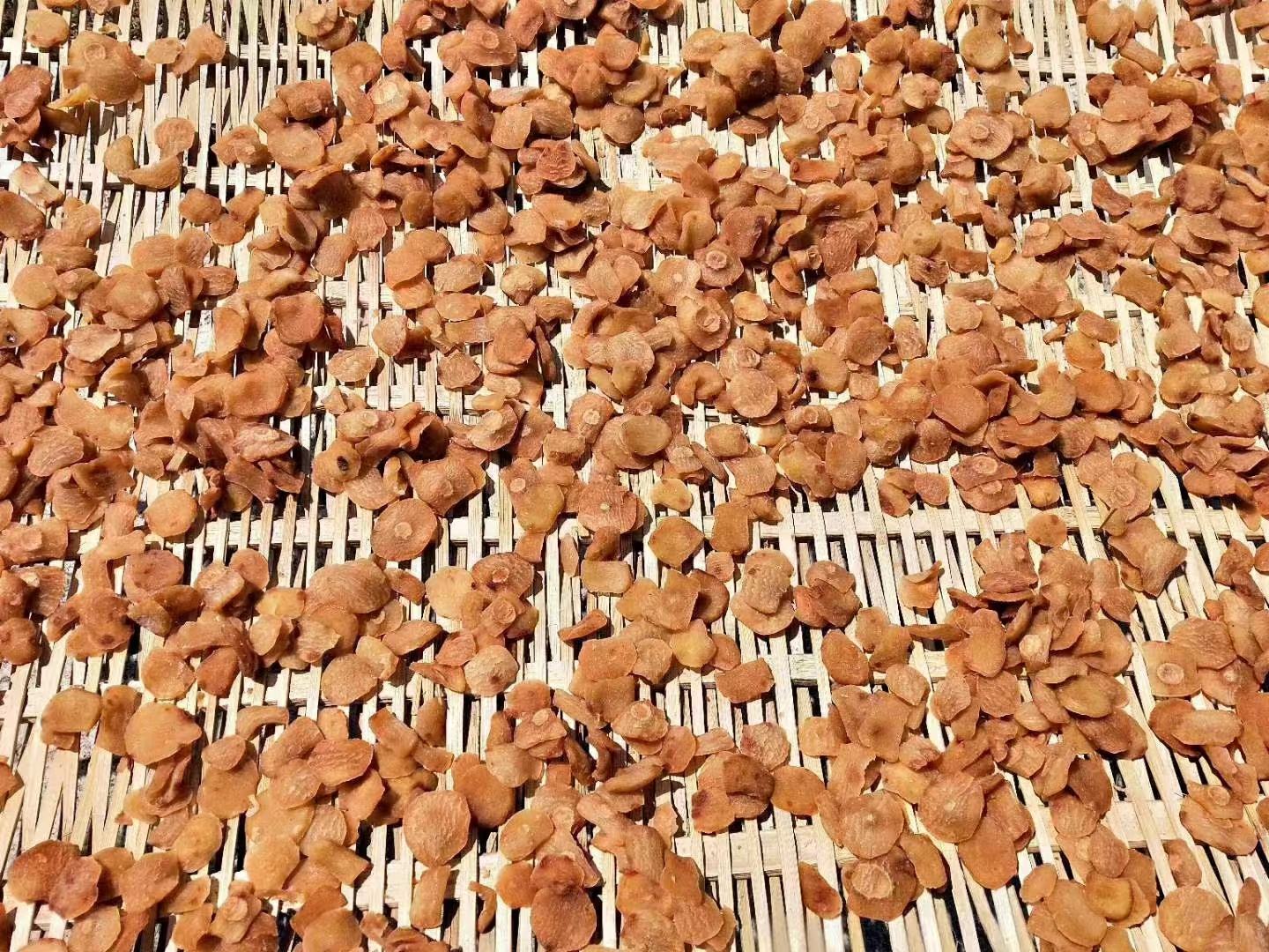 兴隆县雾灵山脚下燕瓤红山楂晾晒场