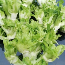 l抱儿菜