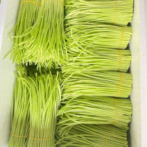 大量供应精品芦蒿精品白蒿