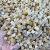 600头淡干瑶柱干贝