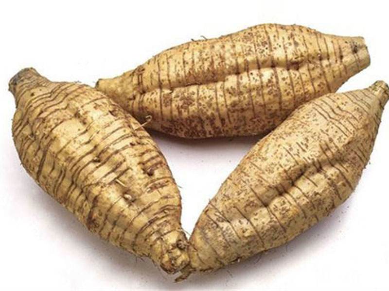 图片展示新鲜粉葛的外貌特征,表皮呈棕色,内部为白色或淡黄色,质地坚硬 粉葛的外观