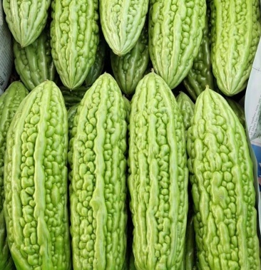 [苦瓜批发]广东本地苦瓜,大珍珠苦瓜小珍珠苦瓜,价格0.